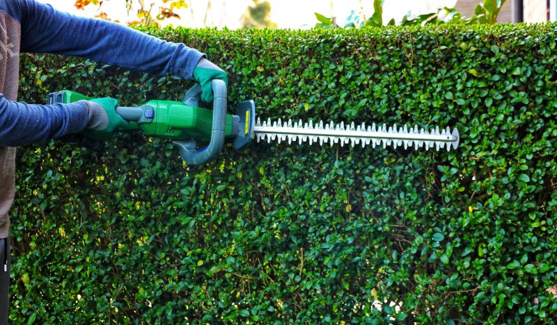 Shrub Trimming Service
