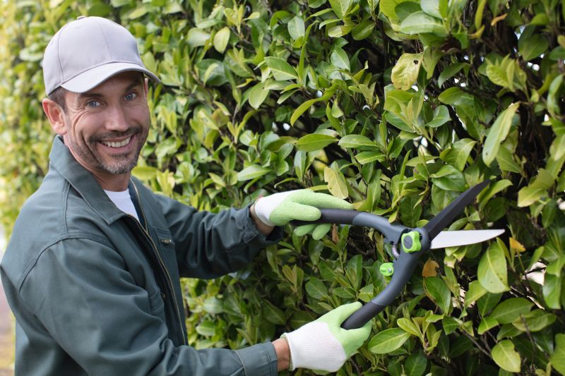 Expert Hedge Trimming