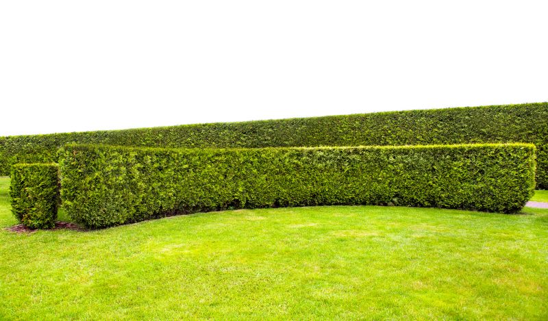 Neatly Shaped Hedges