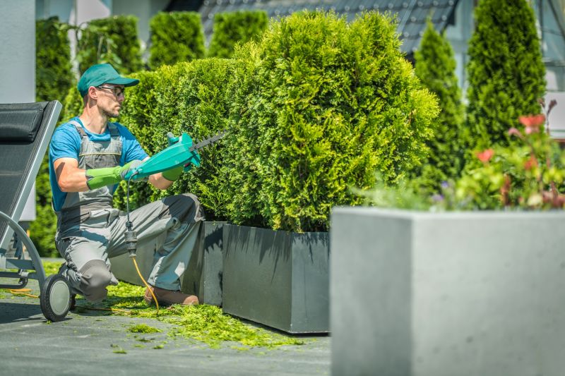 Hedge Trimming Experts