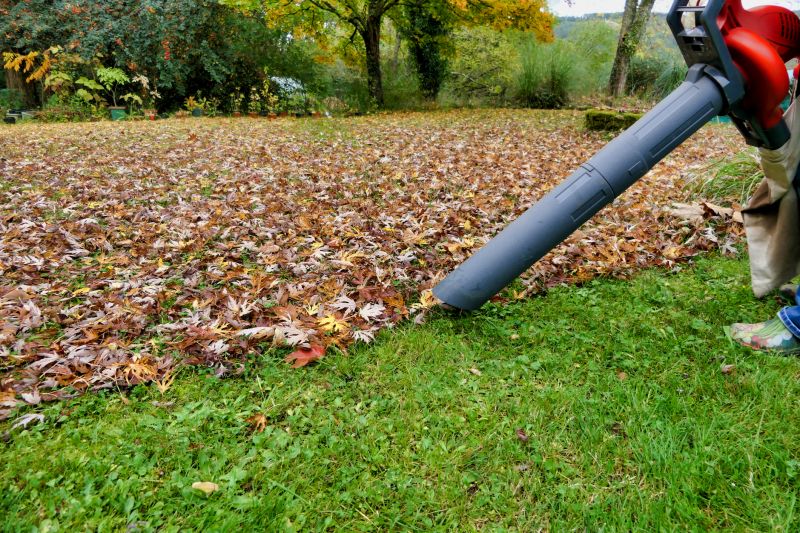 Equipment for Leaf Removal