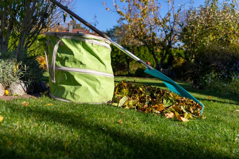 Raking and Bagging Leaves