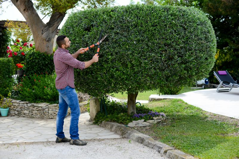 Landscape Pruning Service in Ventura County, CA