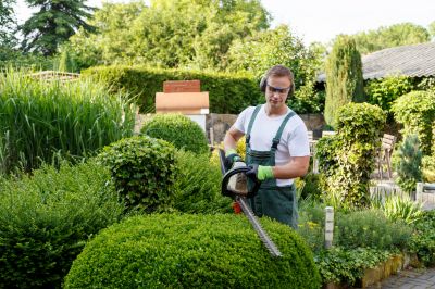 Products For Expert Hedge Trimmings in use