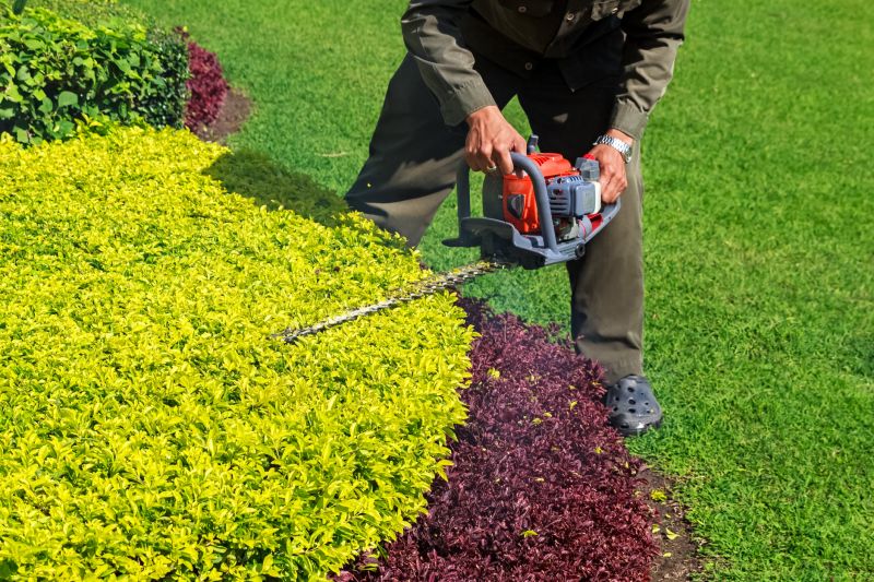 Seasonal Shrub Maintenance