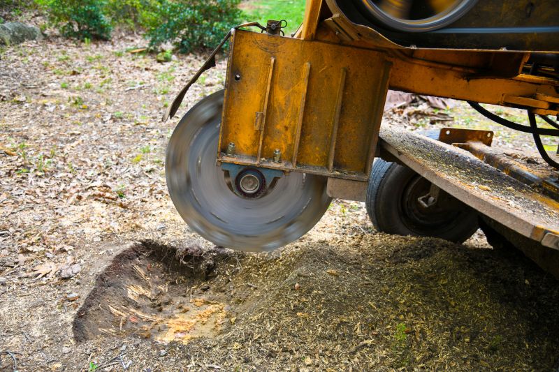 Tree Root Grinding in Waldorf, MD