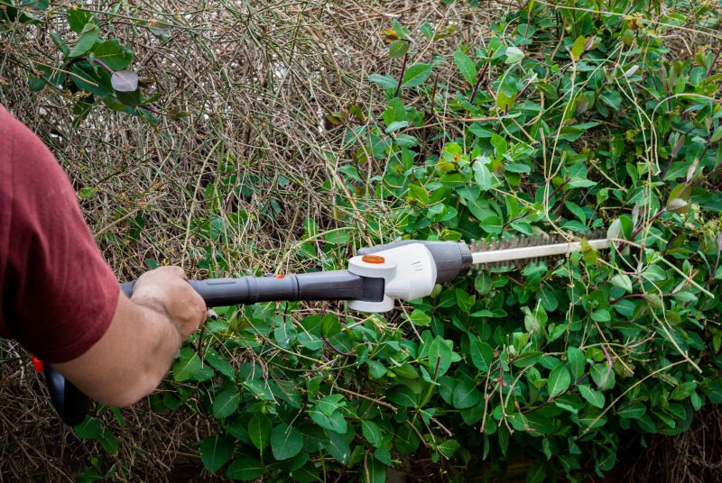 Hedge Maintenance Packages